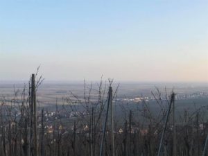 mulhouse permis auto moto haut-rhin