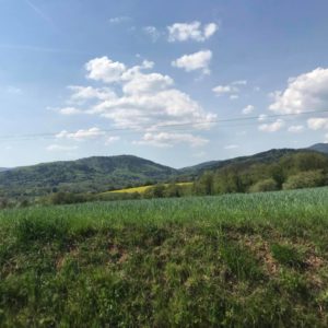 mulhouse permis auto moto haut-rhin