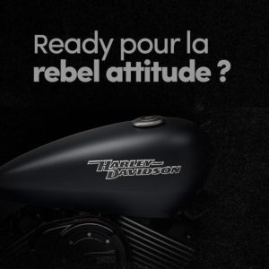 publication-harley-2