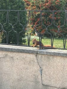 mulhouse permis auto moto haut-rhin